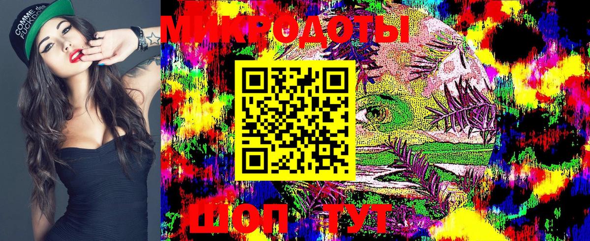 Псилоцибиновые грибы Cubensis Свободный