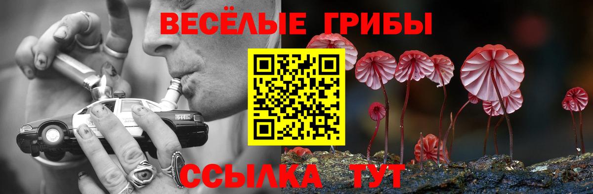Свободный  Галлюциногенные грибы Magic Shrooms  Вход с VPN 